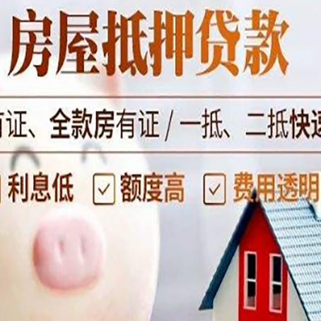 泸定贷款助贷公司新渝启服靠谱公司